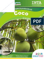 Recomendaciones Produccion Coco 2018 PDF