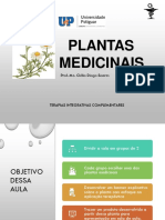AULA 02 - Terapias Complementares - Plantas Medicinais