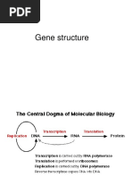 Gene Families of Plants Plant Biotechnolo