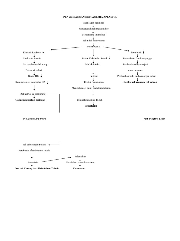 Pathway Anemia Aplastik dan Imunologi | PDF