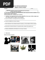 Salud y Drogas 6 Basico