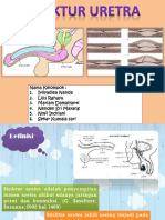 Optimized Title for Post-Operative Care Documentation of Suprapubic Cystostomy