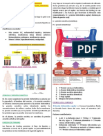 Fisiopato Semana 1