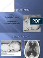 HidRoseFalus