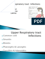 Parts: Nose Throat Pharynx Larynx