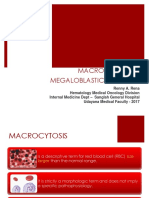 Kuliah Macrocytic Anemia 2017