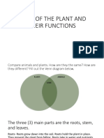 Parts of The Plant and Their Functions