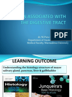 Kuliah Organ Associated With The Digestive Tract 2019 - Compressed