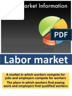 Labor Market Information 2016