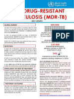 MDR-RR_TB_factsheet_2017.pdf