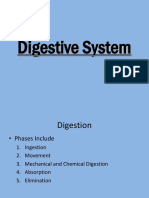 Digestive System PPT