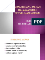 Lima Benang Merah Dalam Asuhan Persalinan Normal