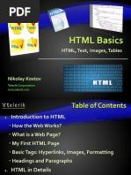 HTML CSS JavaScript Basics