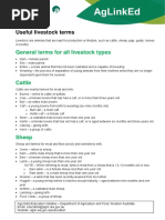 Useful Livestock Terms - AgLinkEd