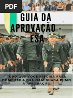 GUIADAAPROVAOESA