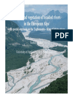 Ecology and Vegetation of Braided Rivers