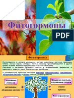 Фитогормоны 