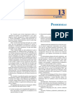 Cap13 PDF