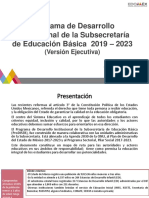 ProDISEB_Resumen ejecutivo__1 Agosto.pdf