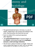 Anatomy GI Tract