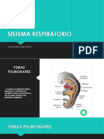 sistema res.pptx