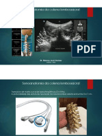 Lumbar spine sonoanatomy