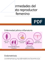 Enfermedades Del Aparato Reproductor Femenino
