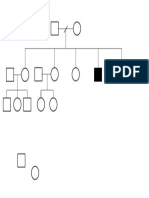 Genogram Tn. Ilham