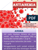 Anti Anemia