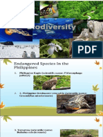 Biodiversity and Species Extinction: An Introduction