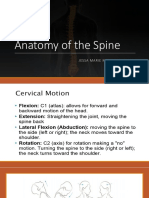 Anatomy of The Spine