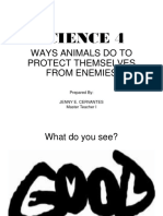 Science 4: Ways Animals Do To Protect Themselves From Enemies