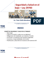 Comité de Seguridad y Salud en El Trabajo - Ley 29783: Lic. Yvan Gallo Mendoza