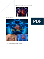 Sistema Cardiopulmonar