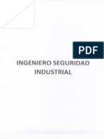 Ingeniero Seguridad Industrial