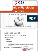 Anatomia e Fisiologia Da Boca