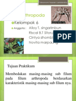 Arthropoda Kelompok 6 Fix