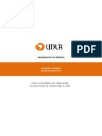 Estandar Academico 2017.pdf