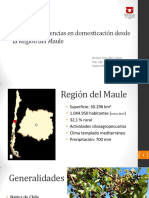 Maqui Experiencias en Domesticación Desde La Región Del Maule