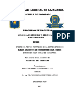 TERRAZINE TESIS.pdf