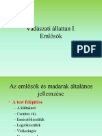 Vadászati Állattan Emlősök 