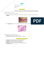 GENERALIDADES TEJIDO EPITELIAL.pdf