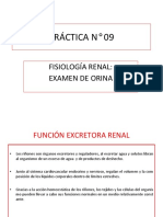 PRÁCTICA N° 09 EXAMEN DE ORINA.pptx