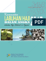 Labuhan Haji dalam Angka 2017