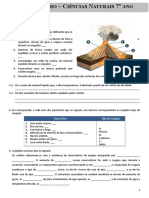 Ficha de Trabalho - Ciências Naturais