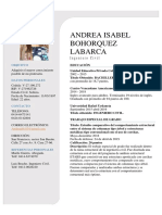 Curriculum Vitae Andrea Bohorquez PDF