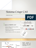 Crispr CAS