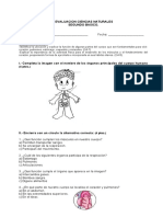 pruebacienciassistemasaliment-160503140231.pdf