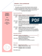 Curriculum Vitae CRONOLOGICO