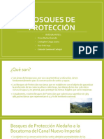 Bosques de Proteccíon / 4° "B"/ IEP Tte. Miguel Cortes - Sullana